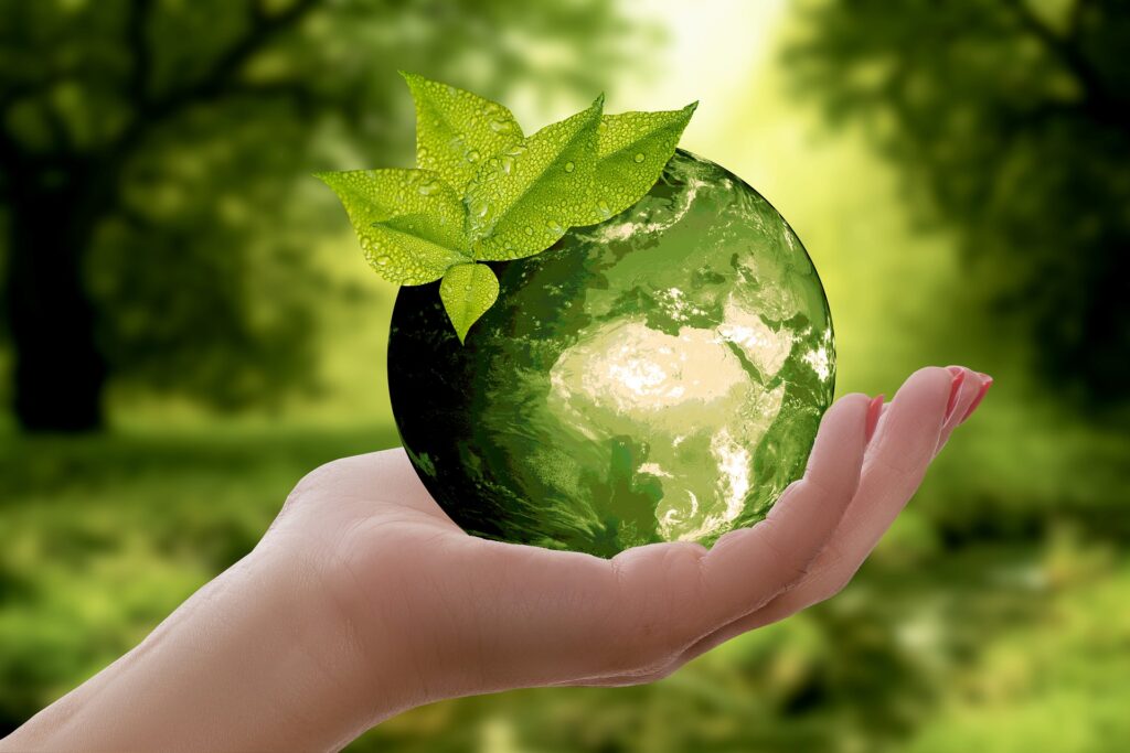 nature-3289812_1920-holding green earth in hand. Ministry for earth