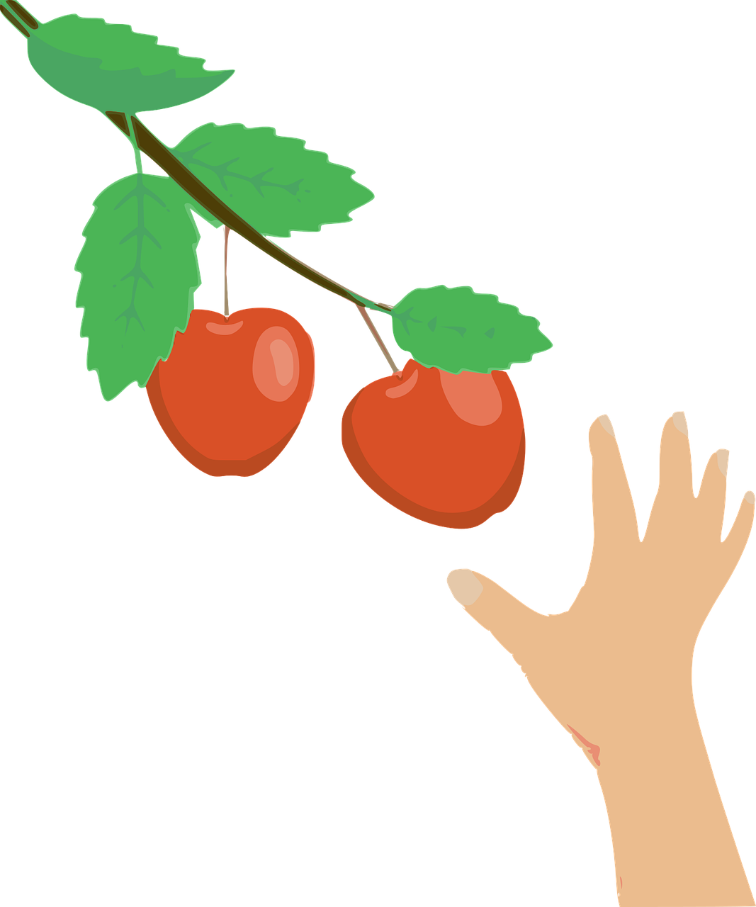 a hand reaching for apples